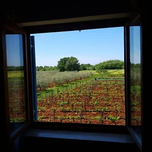 https://apartment-and-rooms-hacienda-stelio.in-istria.net